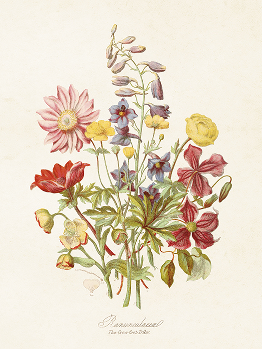 Poster 18x24 cm Blumen